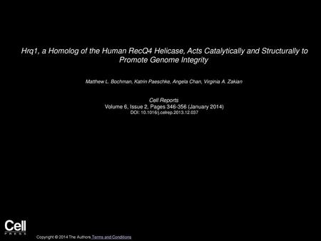 Hrq1, a Homolog of the Human RecQ4 Helicase, Acts Catalytically and Structurally to Promote Genome Integrity  Matthew L. Bochman, Katrin Paeschke, Angela.