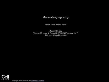 Mammalian pregnancy Current Biology