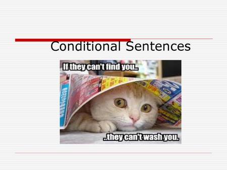 Conditional Sentences