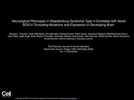 Neurological Phenotype in Waardenburg Syndrome Type 4 Correlates with Novel SOX10 Truncating Mutations and Expression in Developing Brain  Renaud L. Touraine,