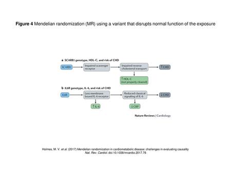 Nat. Rev. Cardiol. doi: /nrcardio