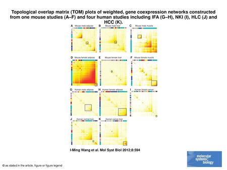 Topological overlap matrix (TOM) plots of weighted, gene coexpression networks constructed from one mouse studies (A–F) and four human studies including.