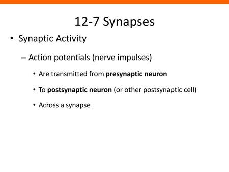 12-7 Synapses Synaptic Activity Action potentials (nerve impulses)