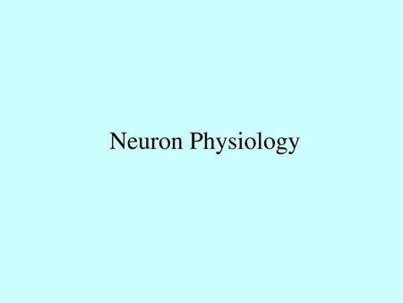 Neuron Physiology.