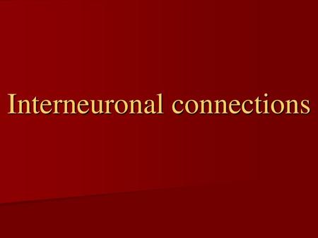 Interneuronal connections