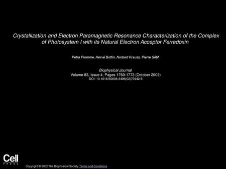 Crystallization and Electron Paramagnetic Resonance Characterization of the Complex of Photosystem I with its Natural Electron Acceptor Ferredoxin  Petra.