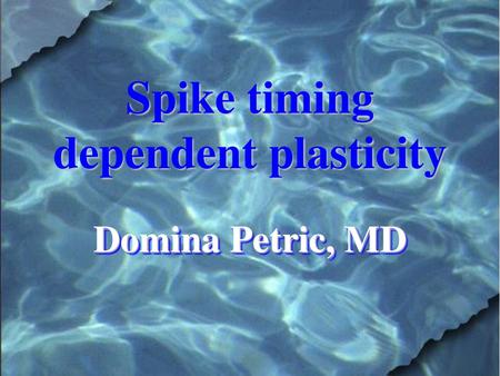 Spike timing dependent plasticity