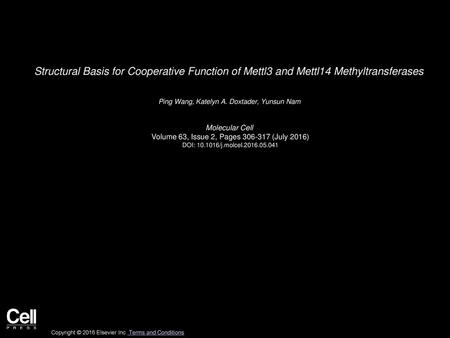 Ping Wang, Katelyn A. Doxtader, Yunsun Nam  Molecular Cell 