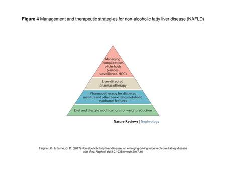 Nat. Rev. Nephrol. doi: /nrneph