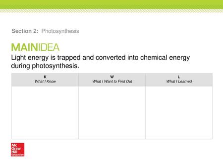 Section 2: Photosynthesis