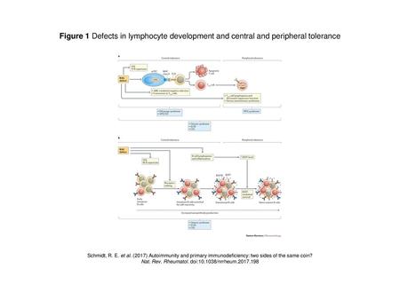 Nat. Rev. Rheumatol. doi: /nrrheum