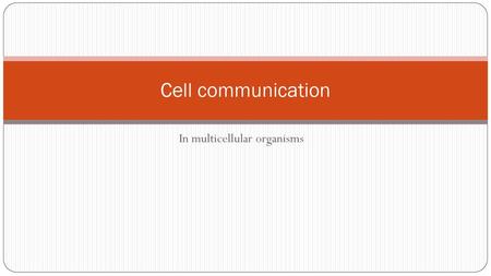 In multicellular organisms