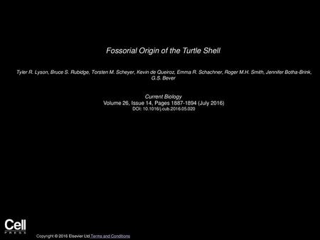 Fossorial Origin of the Turtle Shell