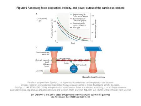 Nat. Rev. Cardiol. doi: /nrcardio