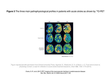 Nat. Rev. Neurol. doi: /nrneurol