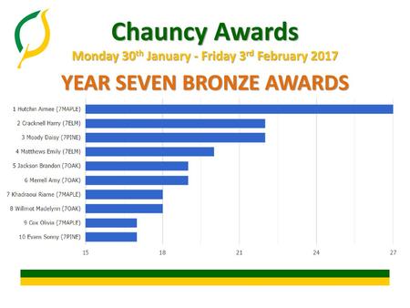 YEAR SEVEN BRONZE AWARDS