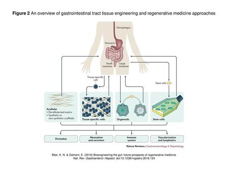 Nat. Rev. Gastroenterol. Hepatol. doi: /nrgastro