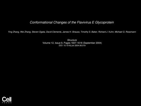 Conformational Changes of the Flavivirus E Glycoprotein