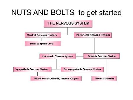 NUTS AND BOLTS to get started