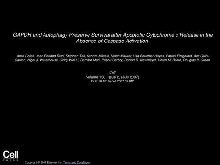 GAPDH and Autophagy Preserve Survival after Apoptotic Cytochrome c Release in the Absence of Caspase Activation  Anna Colell, Jean-Ehrland Ricci, Stephen.