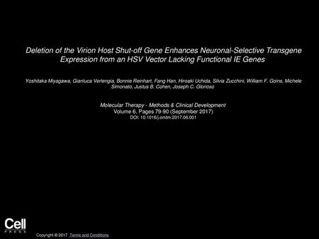 Deletion of the Virion Host Shut-off Gene Enhances Neuronal-Selective Transgene Expression from an HSV Vector Lacking Functional IE Genes  Yoshitaka Miyagawa,