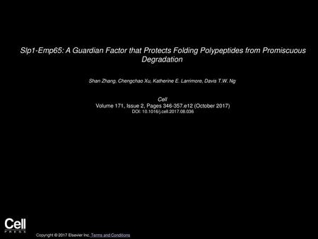 Shan Zhang, Chengchao Xu, Katherine E. Larrimore, Davis T.W. Ng  Cell 