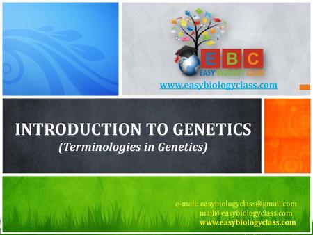 Introduction to Genetics (Terminologies in Genetics)