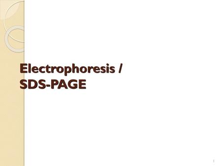 Electrophoresis / SDS-PAGE