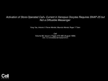 Activation of Store-Operated Ca2+ Current in Xenopus Oocytes Requires SNAP-25 but Not a Diffusible Messenger  Yong Yao, Antonio V Ferrer-Montiel, Mauricio.