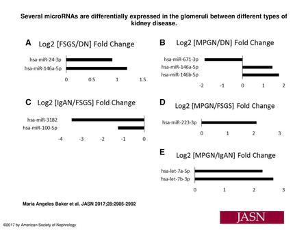 Several microRNAs are differentially expressed in the glomeruli between different types of kidney disease. Several microRNAs are differentially expressed.