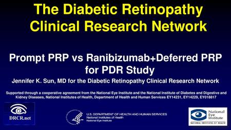 The Diabetic Retinopathy Clinical Research Network