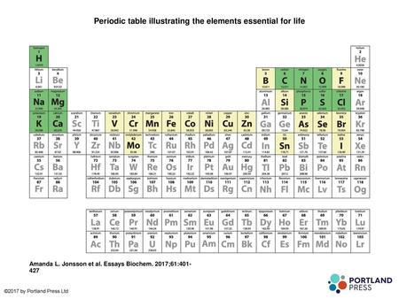 Periodic table illustrating the elements essential for life