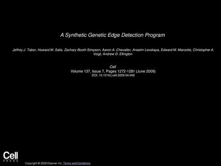 A Synthetic Genetic Edge Detection Program