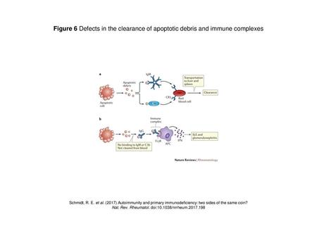 Nat. Rev. Rheumatol. doi: /nrrheum