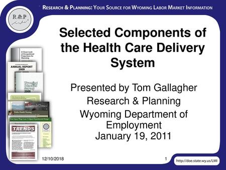 Selected Components of the Health Care Delivery System