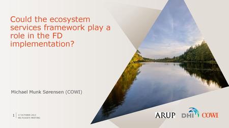 Could the ecosystem services framework play a role in the FD implementation? Michael Munk Sørensen (COWI) 17 October 2013 WG Flood's Meeting.