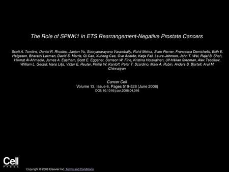 The Role of SPINK1 in ETS Rearrangement-Negative Prostate Cancers