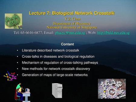 Lecture 7: Biological Network Crosstalk Y. Z