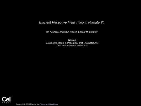 Efficient Receptive Field Tiling in Primate V1