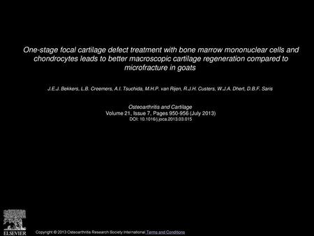 One-stage focal cartilage defect treatment with bone marrow mononuclear cells and chondrocytes leads to better macroscopic cartilage regeneration compared.