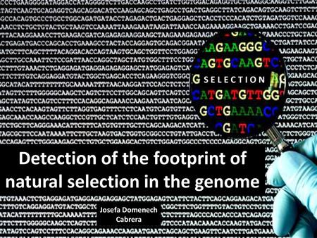 Detection of the footprint of natural selection in the genome