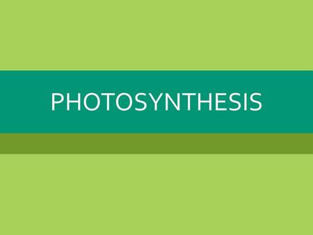 PHOTOSYNTHESIS.