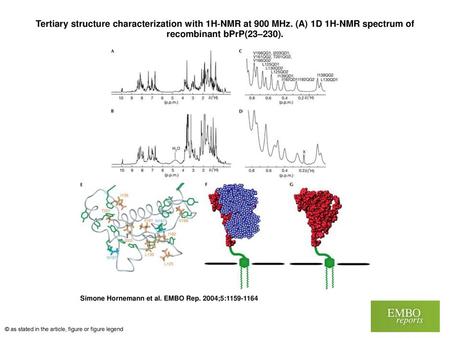 Tertiary structure characterization with 1H‐NMR at 900 MHz