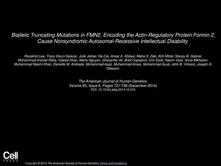 Biallelic Truncating Mutations in FMN2, Encoding the Actin-Regulatory Protein Formin 2, Cause Nonsyndromic Autosomal-Recessive Intellectual Disability 