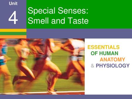 Special Senses: Smell and Taste