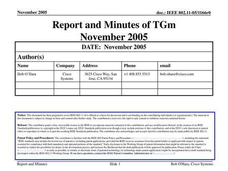 Report and Minutes of TGm November 2005