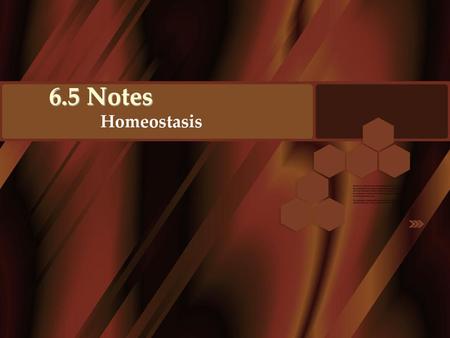 6.5 Notes Homeostasis.