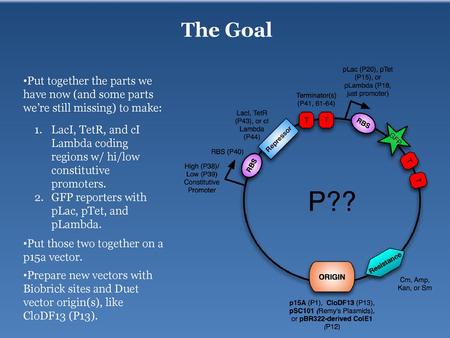 The Goal Put together the parts we have now (and some parts we’re still missing) to make: LacI, TetR, and cI Lambda coding regions w/ hi/low constitutive.