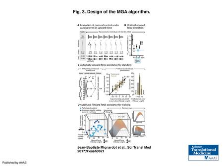 Fig. 3. Design of the MGA algorithm.