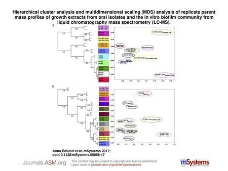 Hierarchical cluster analysis and multidimensional scaling (MDS) analysis of replicate parent mass profiles of growth extracts from oral isolates and the.